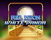 Full Moon: White Panda